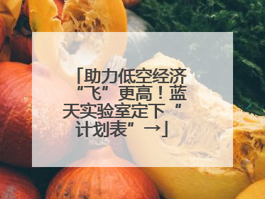 助力低空经济“飞”更高！蓝天实验室定下“计划表”→
