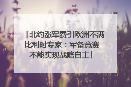 北约涨军费引欧洲不满 比利时专家：军备竞赛不能实现战略自主