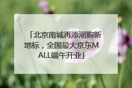 北京南城再添潮购新地标，全国最大京东MALL端午开业