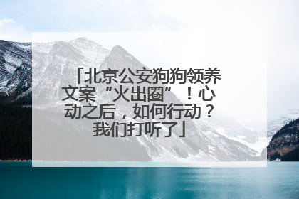 北京公安狗狗领养文案“火出圈”！心动之后，如何行动？我们打听了