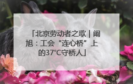 北京劳动者之歌｜阚旭：工会“连心桥”上的37℃守桥人