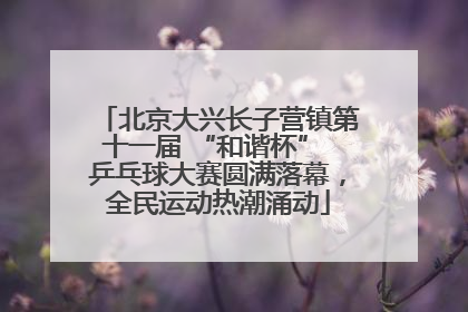 北京大兴长子营镇第十一届 “和谐杯” 乒乓球大赛圆满落幕，全民运动热潮涌动