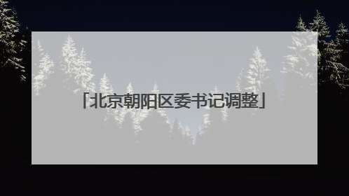 北京朝阳区委书记调整