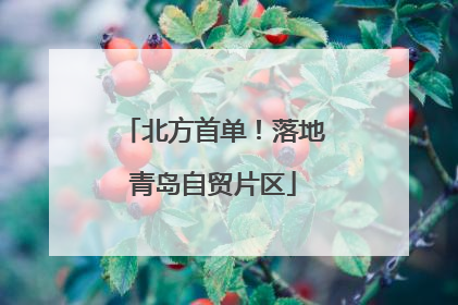 北方首单！落地青岛自贸片区