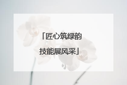 匠心筑绿韵 技能展风采