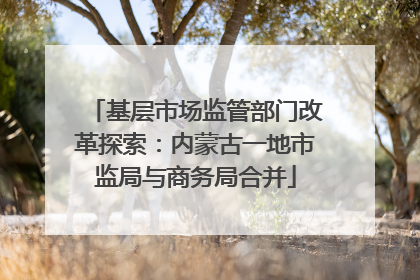 基层市场监管部门改革探索：内蒙古一地市监局与商务局合并