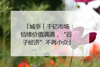 城事︱千亿市场：情绪价值满满，“谷子经济”不再小众