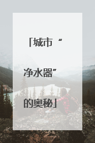 城市“净水器”的奥秘