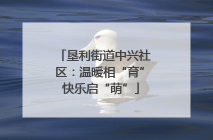 垦利街道中兴社区：温暖相“育” 快乐启“萌”