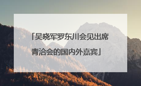 吴晓军罗东川会见出席青洽会的国内外嘉宾