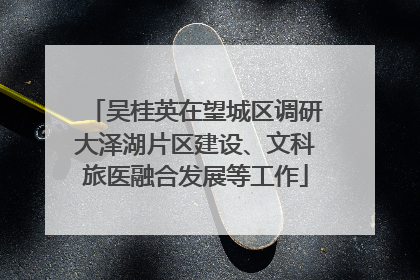 吴桂英在望城区调研大泽湖片区建设、文科旅医融合发展等工作
