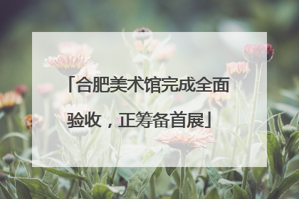 合肥美术馆完成全面验收，正筹备首展