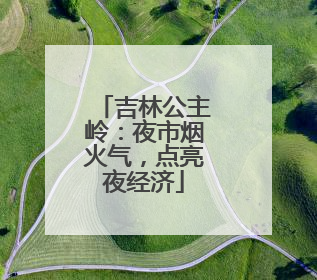 吉林公主岭：夜市烟火气，点亮夜经济
