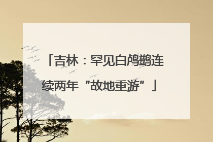 吉林：罕见白鸬鹚连续两年“故地重游”