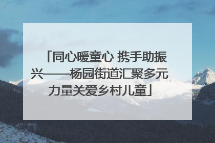 同心暖童心 携手助振兴——杨园街道汇聚多元力量关爱乡村儿童