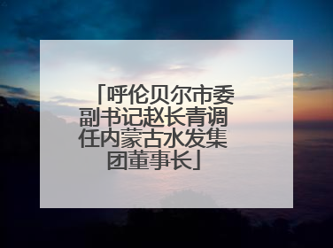 呼伦贝尔市委副书记赵长青调任内蒙古水发集团董事长