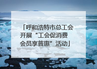 呼和浩特市总工会开展“工会促消费 会员享普惠”活动