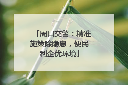 周口交警：精准施策除隐患，便民利企优环境