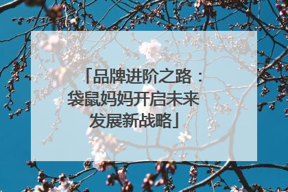 品牌进阶之路：袋鼠妈妈开启未来发展新战略