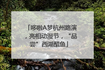 哆啦A梦杭州路演，亮相动漫节，“品尝”西湖醋鱼