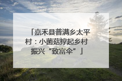 嘉禾县普满乡太平村：小菌菇撑起乡村振兴“致富伞”