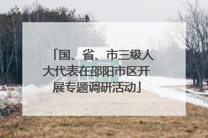 国、省、市三级人大代表在邵阳市区开展专题调研活动