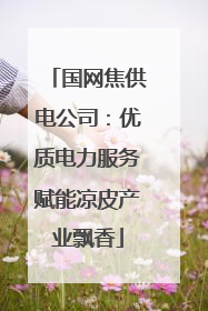 国网焦供电公司：优质电力服务赋能凉皮产业飘香