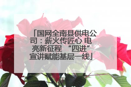 国网全南县供电公司：薪火传匠心 电亮新征程 “四进”宣讲赋能基层一线