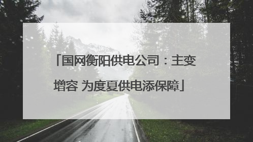 国网衡阳供电公司：主变增容 为度夏供电添保障