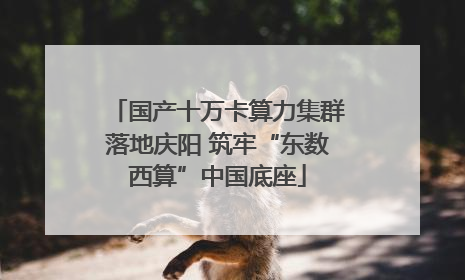 国产十万卡算力集群落地庆阳 筑牢“东数西算”中国底座