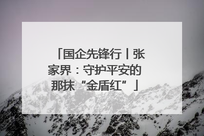 国企先锋行丨张家界：守护平安的那抹“金盾红”