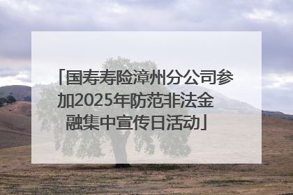 国寿寿险漳州分公司参加2025年防范非法金融集中宣传日活动