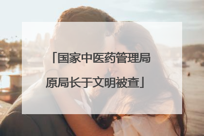 国家中医药管理局原局长于文明被查