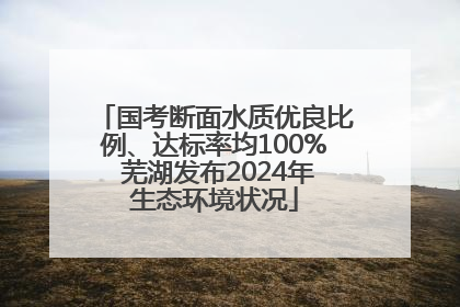 国考断面水质优良比例、达标率均100% 芜湖发布2024年生态环境状况