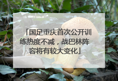 国足重庆首次公开训练热度不减，战巴林阵容将有较大变化