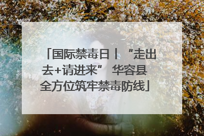 国际禁毒日丨“走出去+请进来” 华容县全方位筑牢禁毒防线