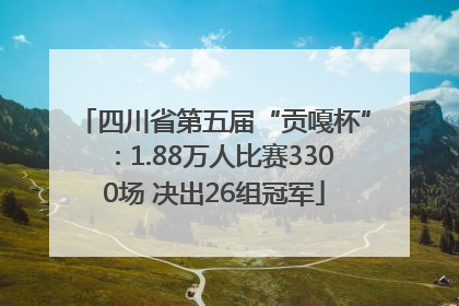 四川省第五届“贡嘎杯”：1.88万人比赛3300场 决出26组冠军