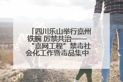 四川乐山举行嘉州铁腕 厉禁共治——“嘉网工程”禁毒社会化工作暨毒品集中销毁启动仪式