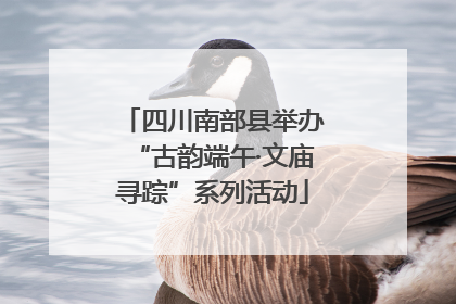 四川南部县举办“古韵端午·文庙寻踪”系列活动