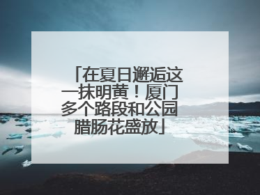 在夏日邂逅这一抹明黄！厦门多个路段和公园腊肠花盛放
