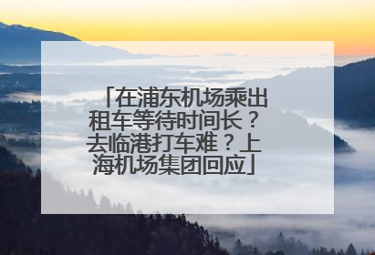 在浦东机场乘出租车等待时间长？去临港打车难？上海机场集团回应