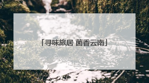 寻味旅居 菌香云南