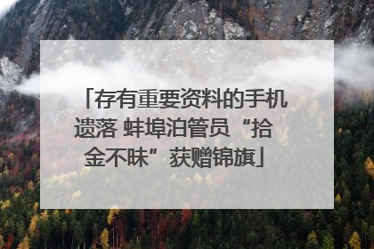 存有重要资料的手机遗落 蚌埠泊管员“拾金不昧”获赠锦旗