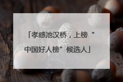 孝感池汉桥，上榜“中国好人榜”候选人