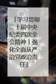 学习贯彻二十届中央纪委四次全会精神丨强化全面从严治党政治责任