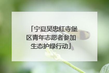 宁夏吴忠红寺堡区青年志愿者参加生态护绿行动