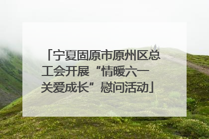 宁夏固原市原州区总工会开展“情暖六一 关爱成长”慰问活动