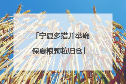宁夏多措并举确保夏粮颗粒归仓