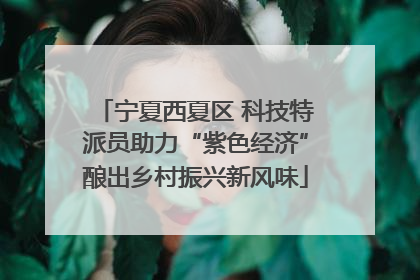 宁夏西夏区 科技特派员助力“紫色经济”酿出乡村振兴新风味