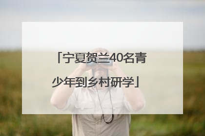 宁夏贺兰40名青少年到乡村研学